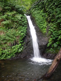 c0359615_21092679.jpg