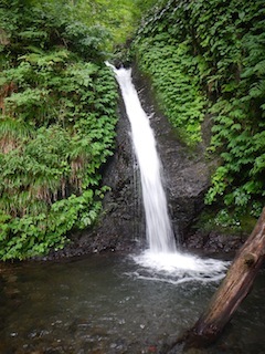 恐いもの見たさのカゴカケ谷…蕎麦粒山_c0359615_21092679.jpg