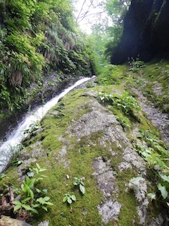 c0359615_21093533.jpg