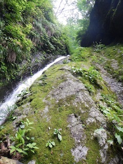 恐いもの見たさのカゴカケ谷…蕎麦粒山_c0359615_21093533.jpg