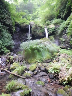 恐いもの見たさのカゴカケ谷…蕎麦粒山_c0359615_21102495.jpg