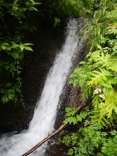 恐いもの見たさのカゴカケ谷…蕎麦粒山_c0359615_21114292.jpg