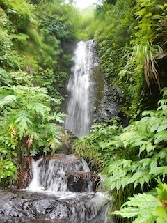 c0359615_21115784.jpg