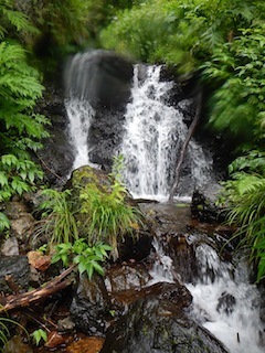 恐いもの見たさのカゴカケ谷…蕎麦粒山_c0359615_21133437.jpg