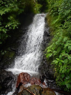 c0359615_21134878.jpg
