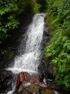 恐いもの見たさのカゴカケ谷…蕎麦粒山_c0359615_21134878.jpg