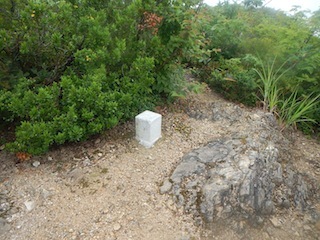 c0359615_21142694.jpg