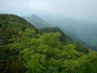 恐いもの見たさのカゴカケ谷…蕎麦粒山_c0359615_21143763.jpg