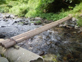 恐いもの見たさのカゴカケ谷…蕎麦粒山_c0359615_21151937.jpg