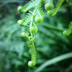 f0309325_20300844.jpg