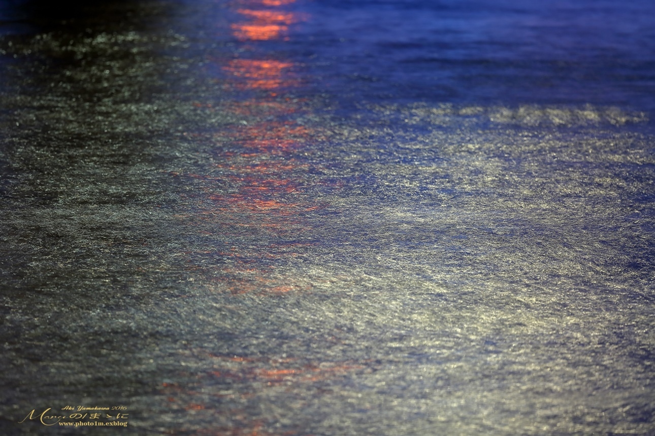 まゝに/7月の散策/初夏の東京の夜/お台場、浅草_d0342426_05203380.jpg