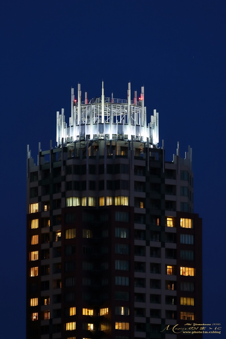 まゝに/7月の散策/初夏の東京の夜/お台場、浅草_d0342426_05210321.jpg