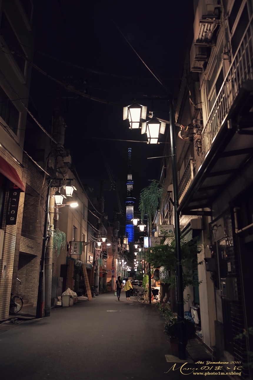 まゝに/7月の散策/初夏の東京の夜/お台場、浅草_d0342426_05424154.jpg