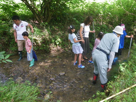 ホタルの水路で生きものを探そう_a0123836_18181093.jpg