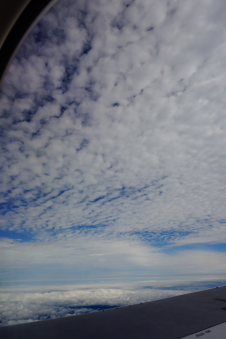 a0287336_19233093.jpg