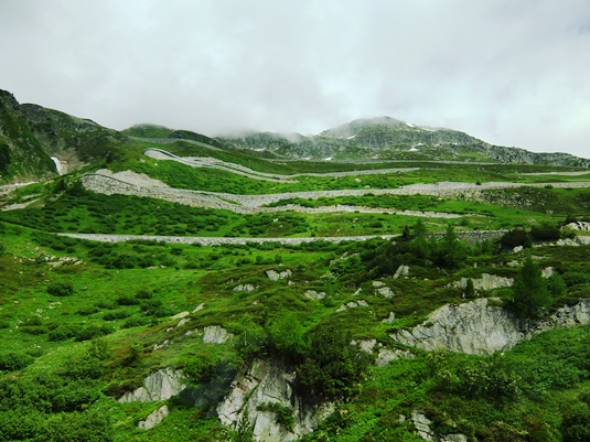 c0051938_811271.jpg