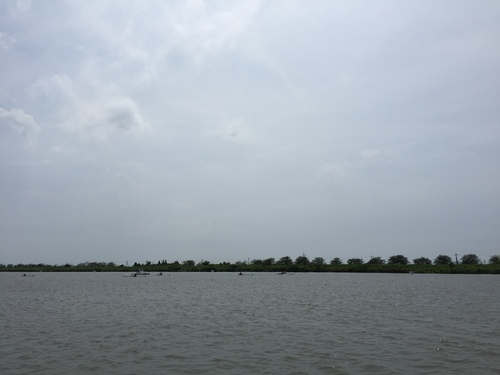 a0297040_2243326.jpg