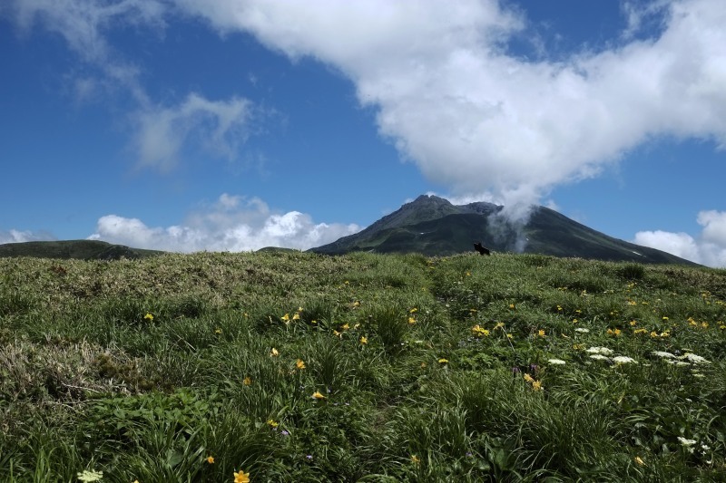 花飾る山、、、笙ヶ岳_d0347140_16233079.jpg