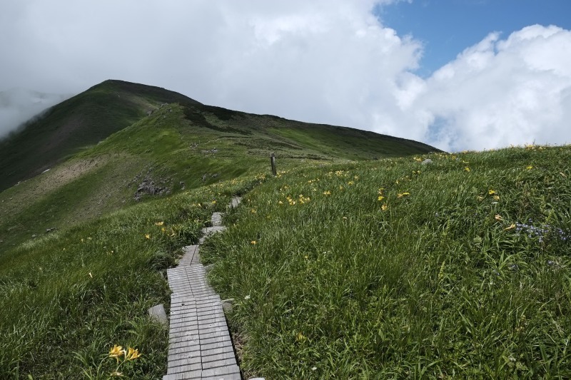 花飾る山、、、笙ヶ岳_d0347140_18040758.jpg