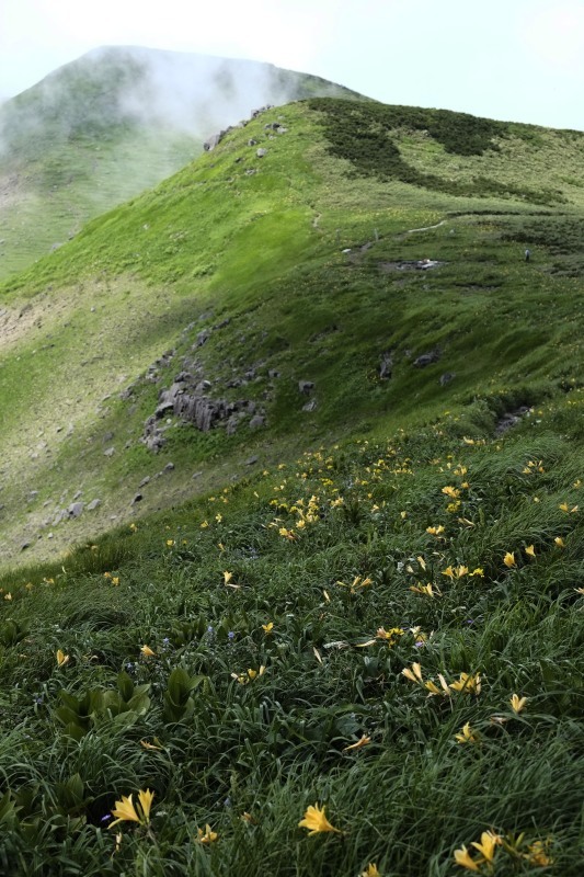 花飾る山、、、笙ヶ岳_d0347140_18042645.jpg