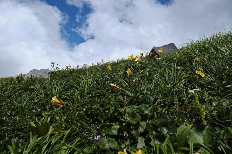 花飾る山、、、笙ヶ岳_d0347140_18143173.jpg