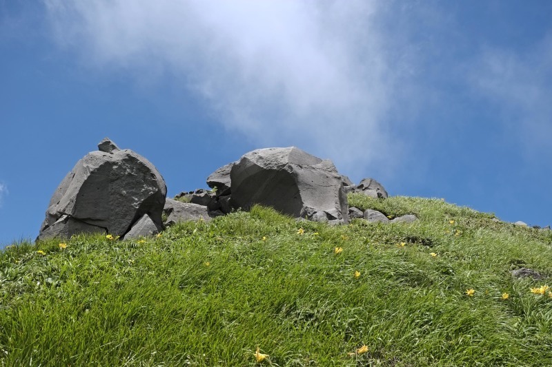 花飾る山、、、笙ヶ岳_d0347140_18325531.jpg