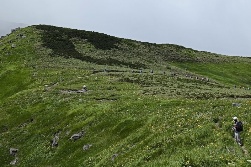 花飾る山、、、笙ヶ岳_d0347140_21233532.jpg