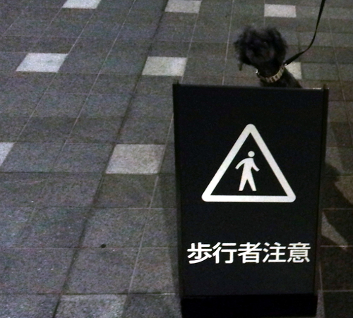 d0026745_06135311.jpg