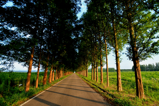 c0093046_19104083.gif