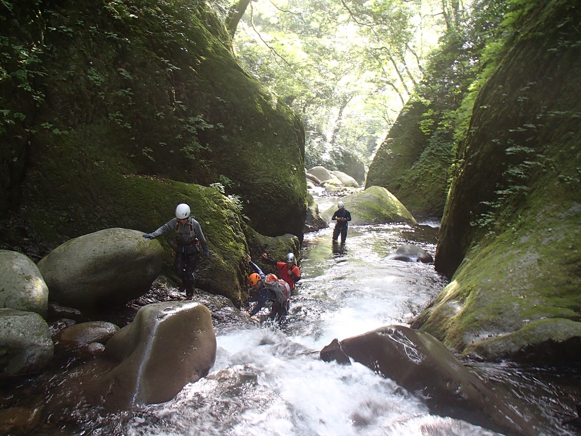 d0007657_1425223.jpg