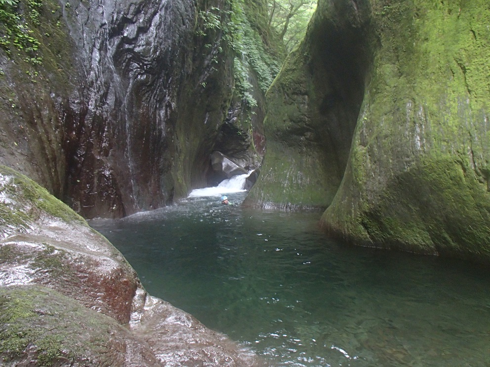 d0007657_1437376.jpg