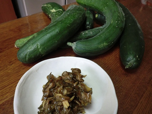 曲がったきゅうりは きゅうりのキューちゃん 元気ばばの青春日記 気持ちだけは２０歳