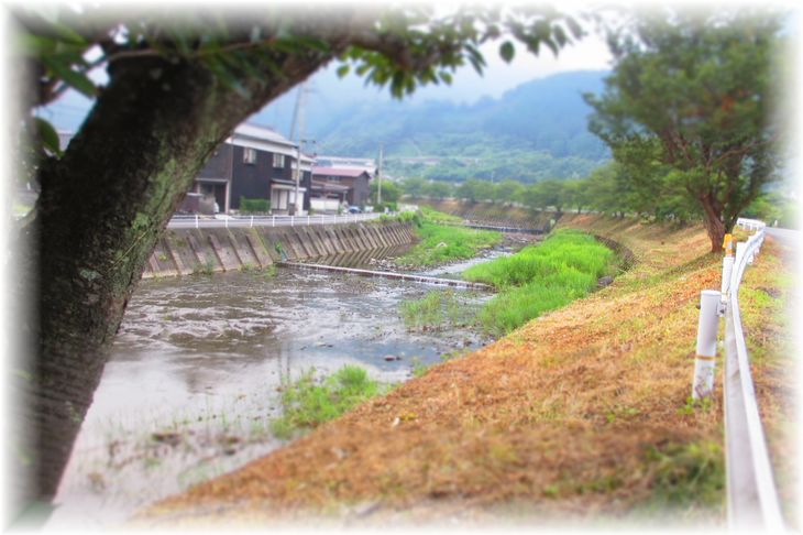 堤防の除草…♪_d0175974_202343.jpg