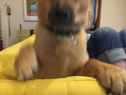 c0364176_07434893.jpeg