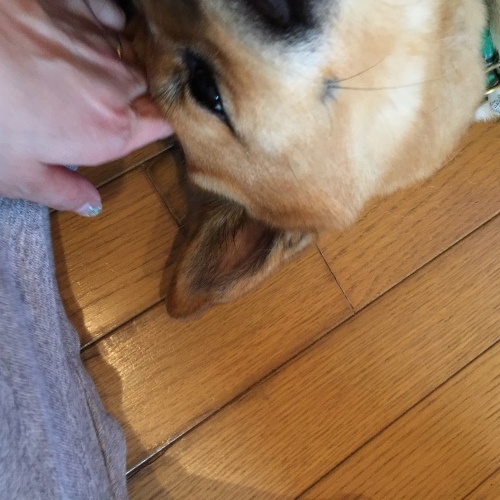 c0364176_07441276.jpeg