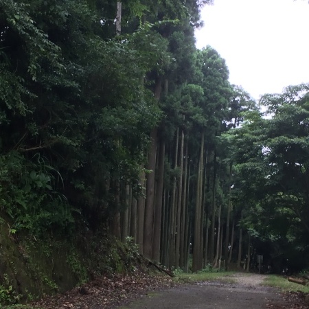 b0030078_21200474.jpeg