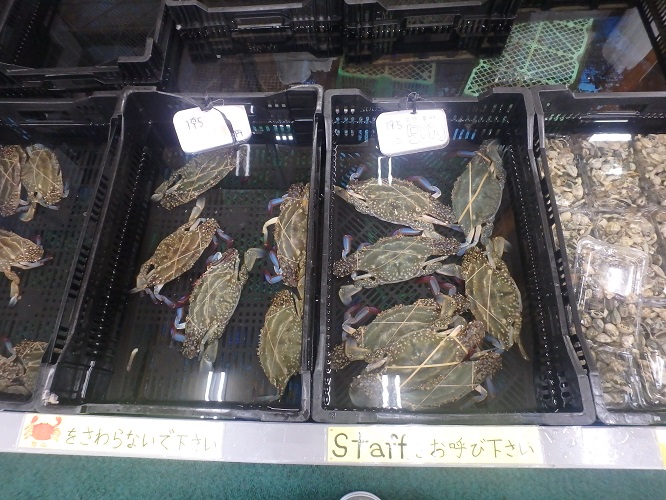 島原で涼む_d0195183_19372595.jpg