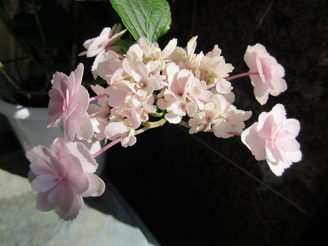 b0182884_012233.jpg