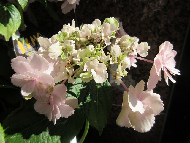 b0182884_013375.jpg