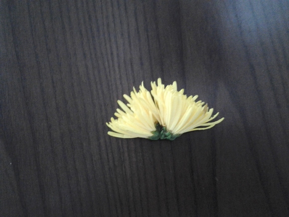 c0149187_13175469.jpg