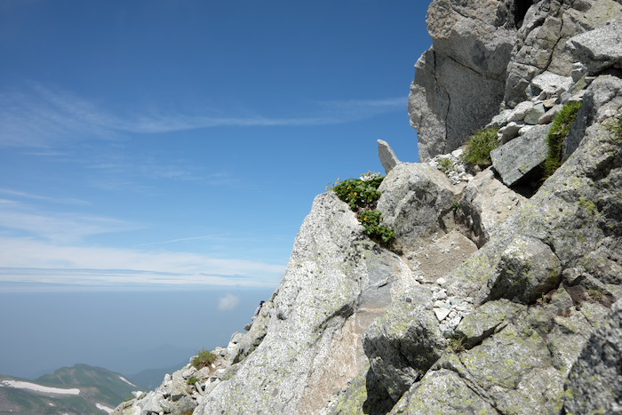 b0339488_20310340.jpg