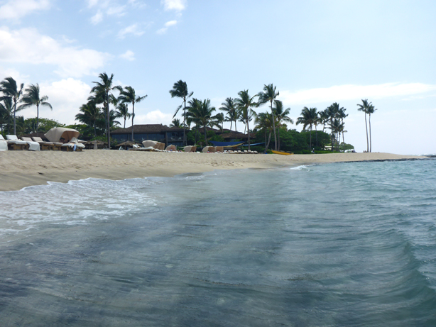 Four Seasons Hualalai フォーシーズンズ・フアラライ 2016 GW -21　Sea Shell Poolにて_c0147790_6584281.jpg