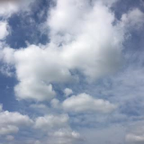 e0124690_15491742.png
