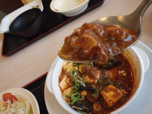 松屋の茄子と豆腐と粗挽き肉の四川風麻婆定食　門真店_c0118393_15233562.jpg