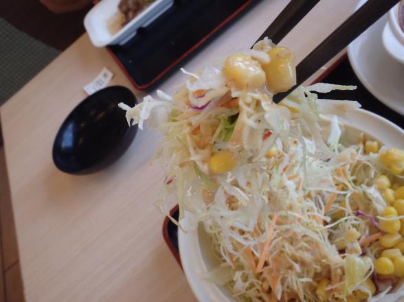 松屋の茄子と豆腐と粗挽き肉の四川風麻婆定食　門真店_c0118393_15284988.jpg