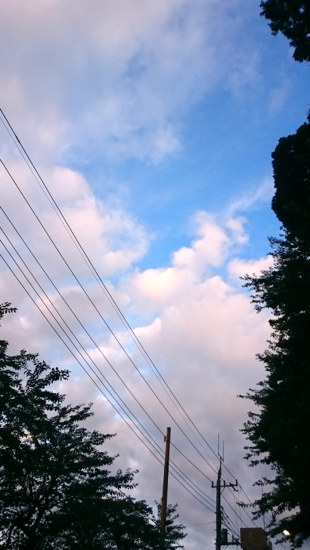 f0231393_16483984.jpg