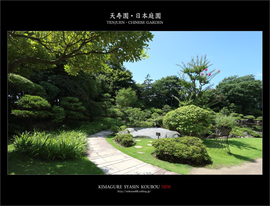 d0353401_21441230.jpg