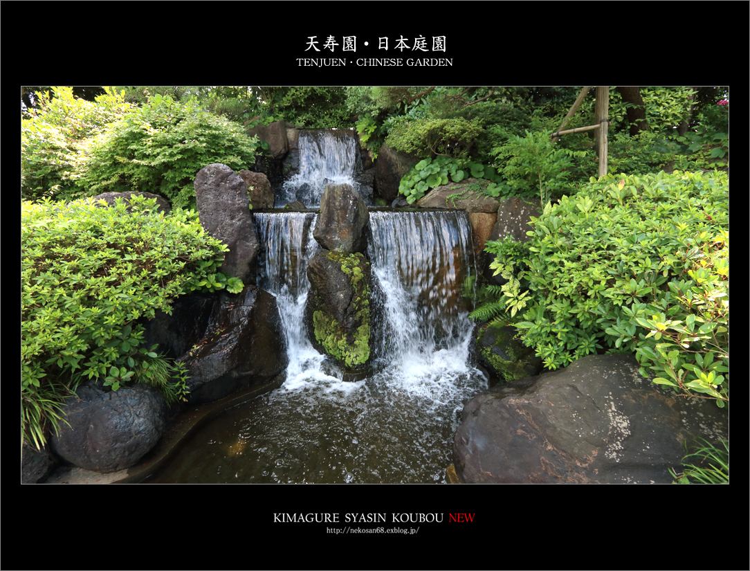 d0353401_21443135.jpg