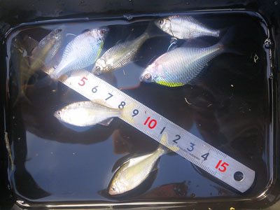 f0082402_21302584.jpg