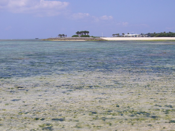 f0221204_10251277.jpg
